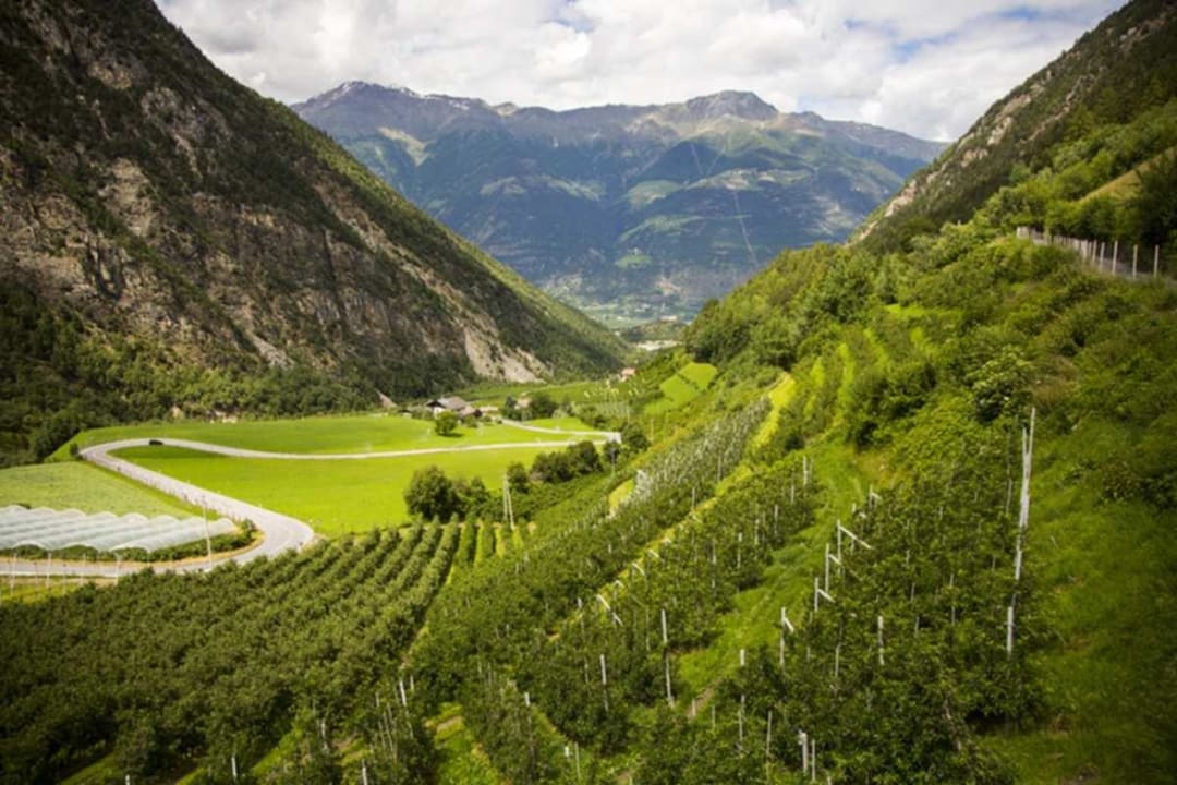 Marteller Tal mit Obstplantagen Hotel Martellerhof