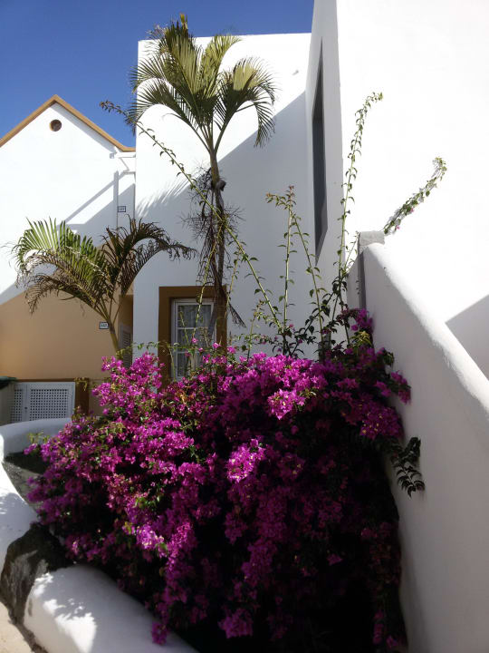  Toll bepflanzt Apartamentos LIVVO Morromar