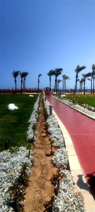 Strand Pickalbatros Palace Hotel-Port Ghalib