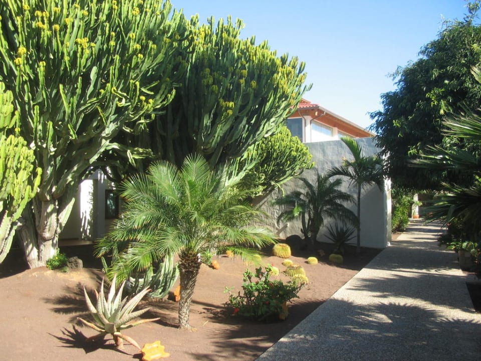 Palmengarten Alua Suites Fuerteventura