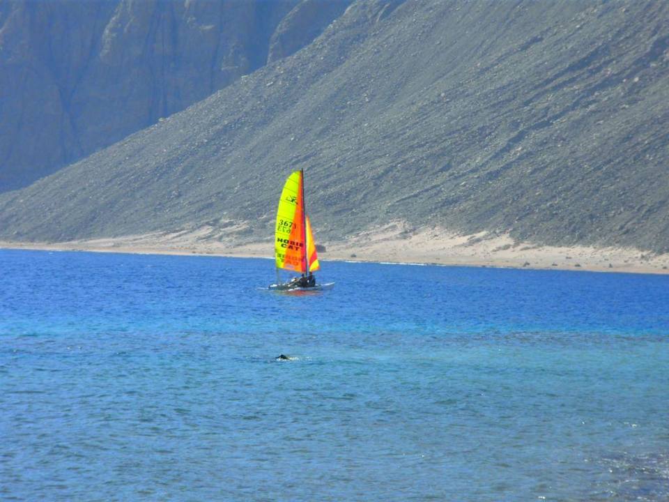 Segler Happy Life Village