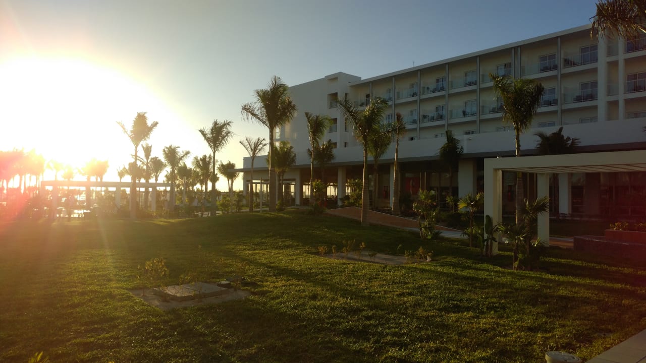 Hotel Hotel Riu Dunamar