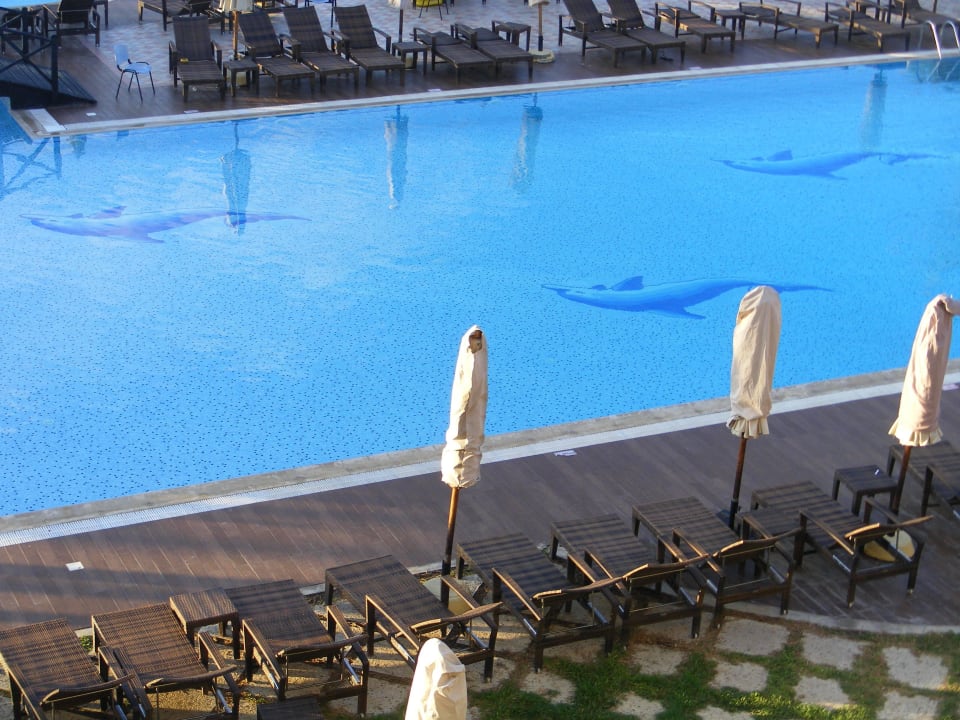 Schöner Pool Hotel Paradis Palace