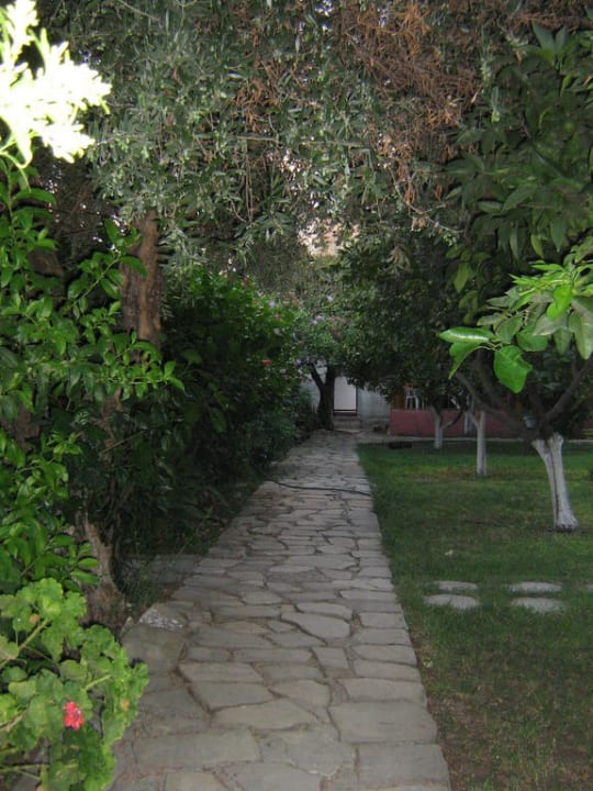 Weg vom Hotel zum Strand Sayanora Hotel