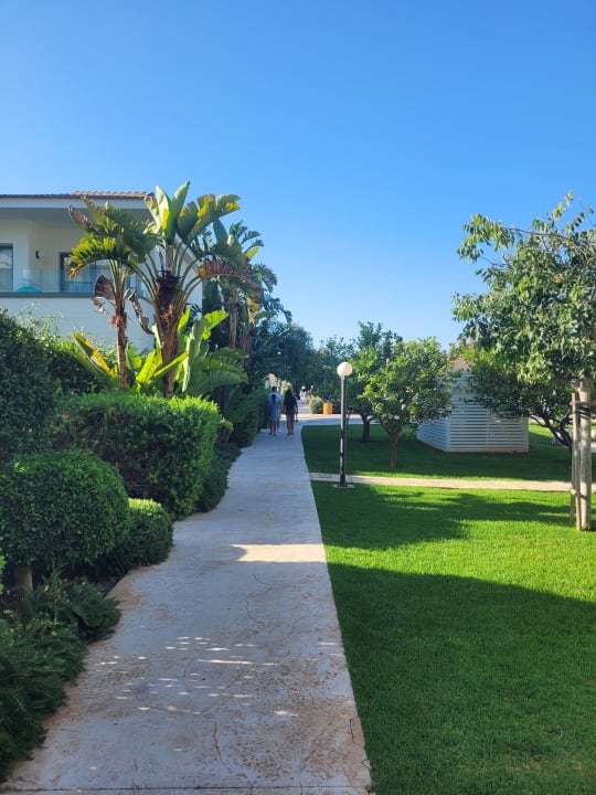 Gartenanlage Prinsotel La Dorada