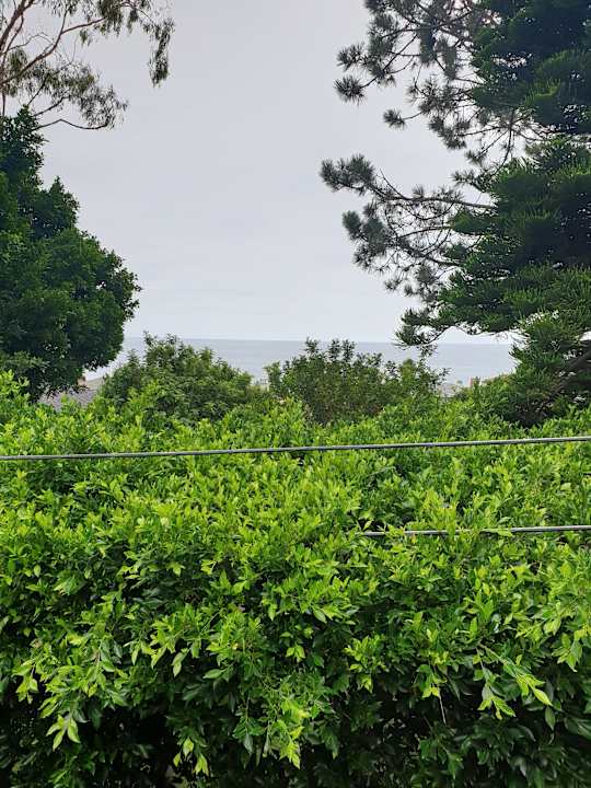 Ausblick Hotel Crescent Bay Inn