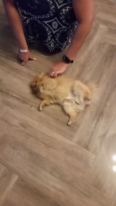 Sonstiges Mary Hotel Side