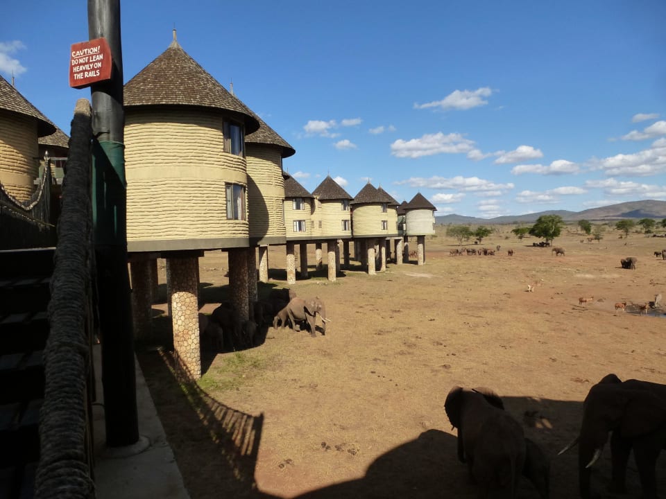 Blick in die Landschaft Salt Lick Safari Lodge