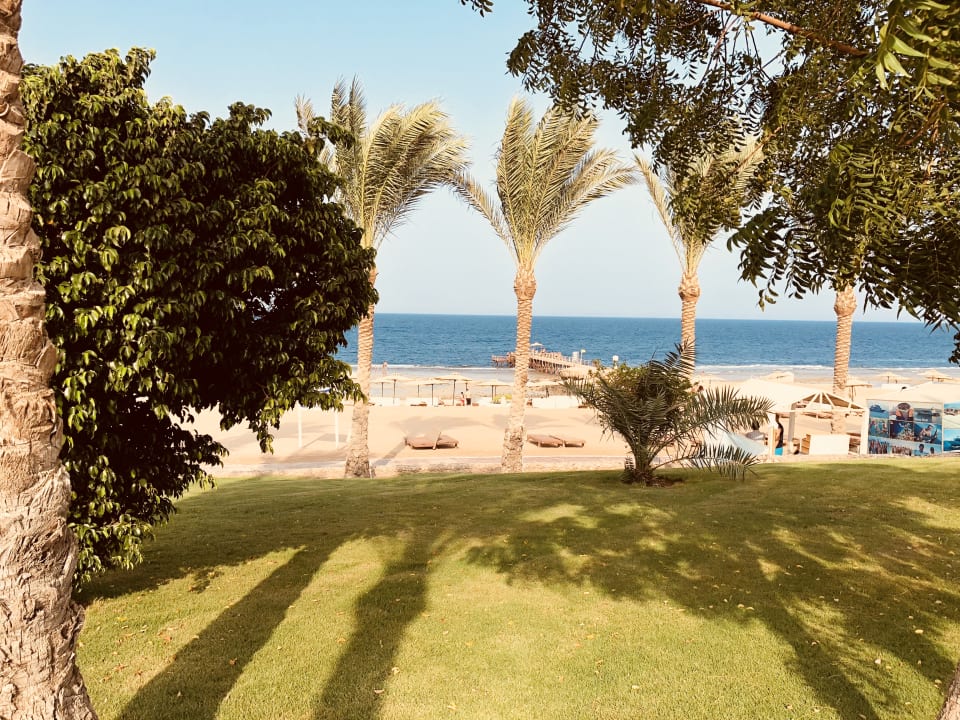 Strand Serenity Alpha Beach