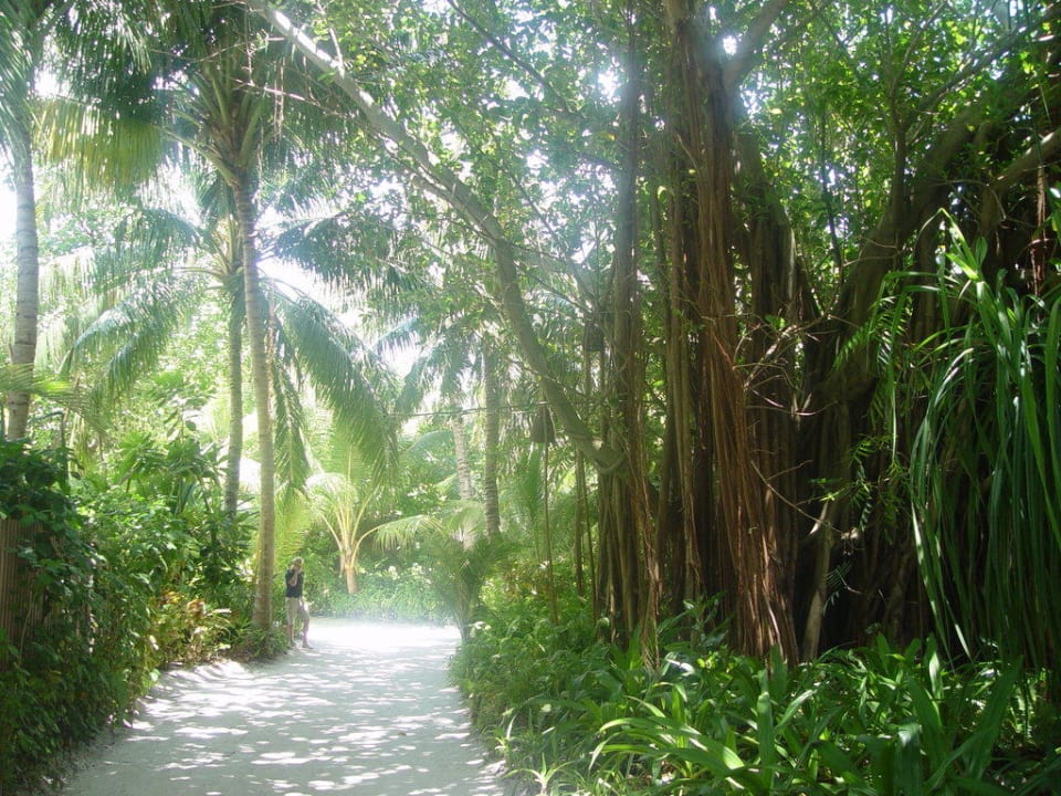 Wege im Innern der Insel Conrad Maldives Rangali Island