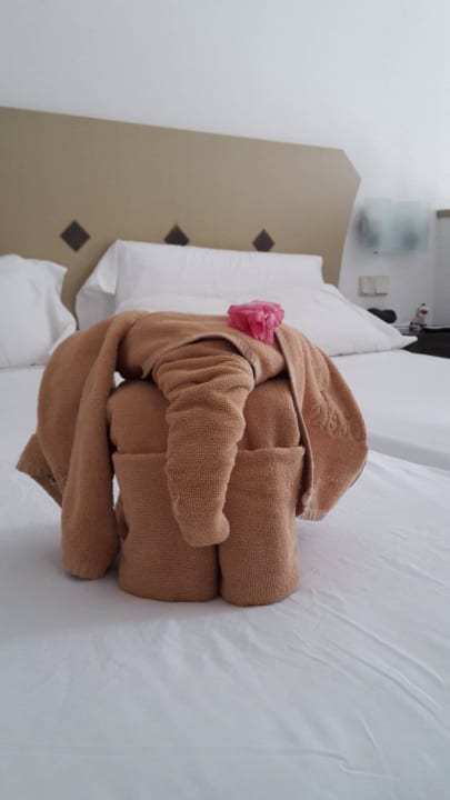 Jeden Tag etwas anderes SBH Hotel Taro Beach