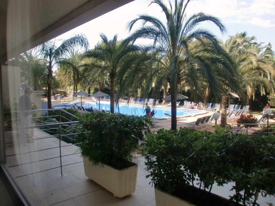 Ausblick von der Rezeption Hotel Cosmopolitan