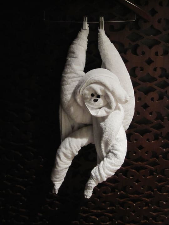 Tägliche Überraschung Hotel Grand Hyatt Goa