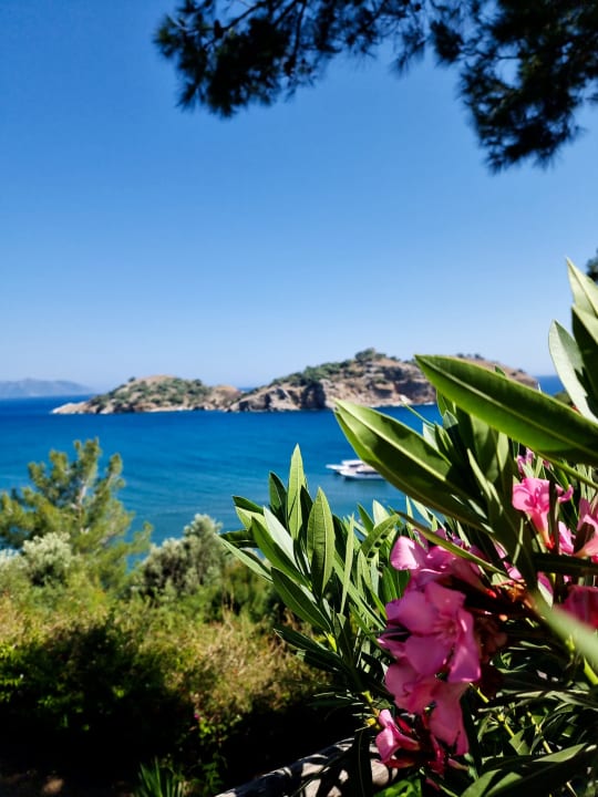 Ausblick TUI BLUE Seno - Adults Only