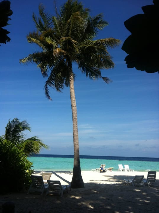 Traumhafter Strand Biyadhoo Island Resort