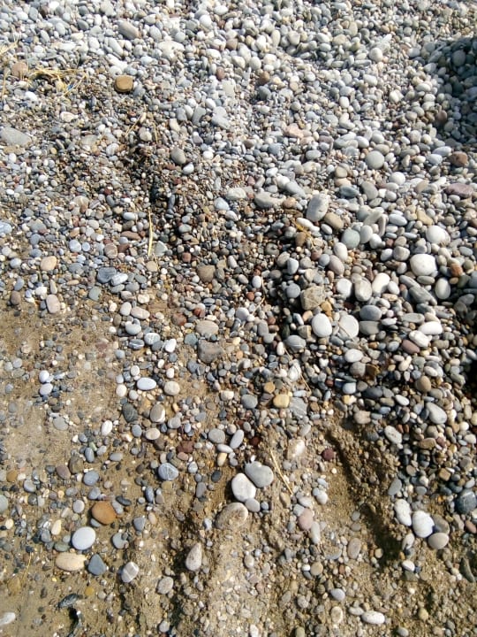 Wacken statt Sand am Strand! Holiday Park Resort