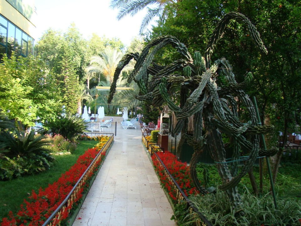 Сквер Botanik Hotel & Resort