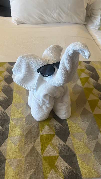 Zimmer Secrets Sunny Beach Resort & Spa