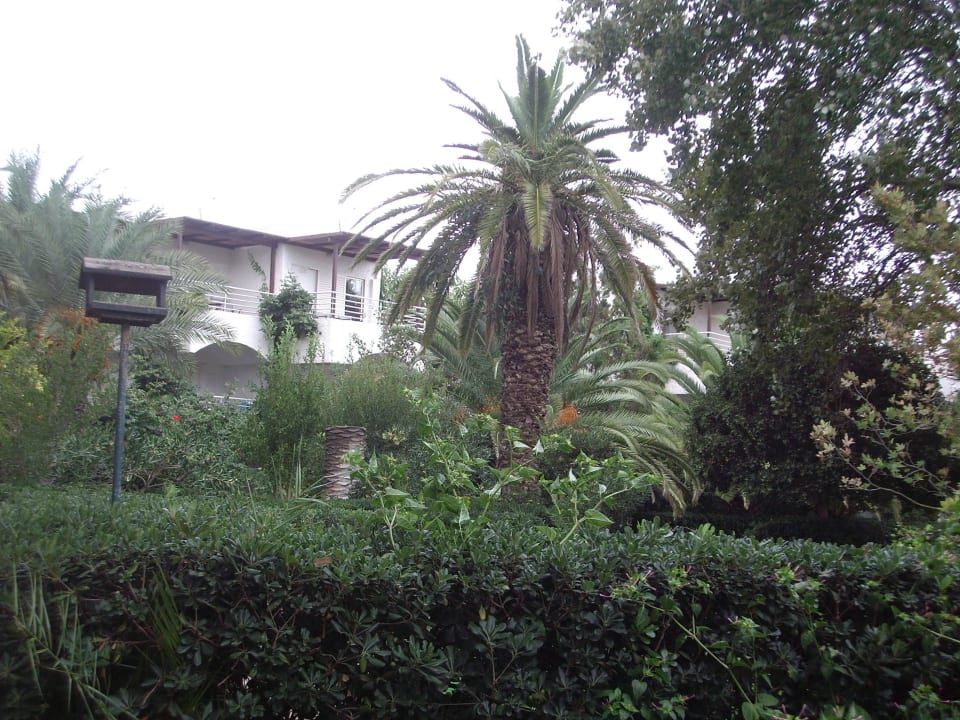 Bungalow-Zimmer Apollonia Beach Resort & Spa
