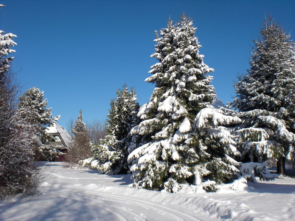 Außenansicht Waldbrunn Feriendorf