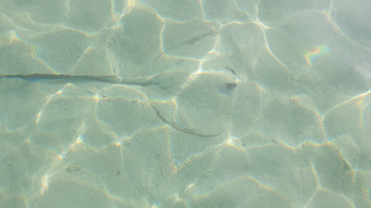 Strand Meeru Maldives Resort Island