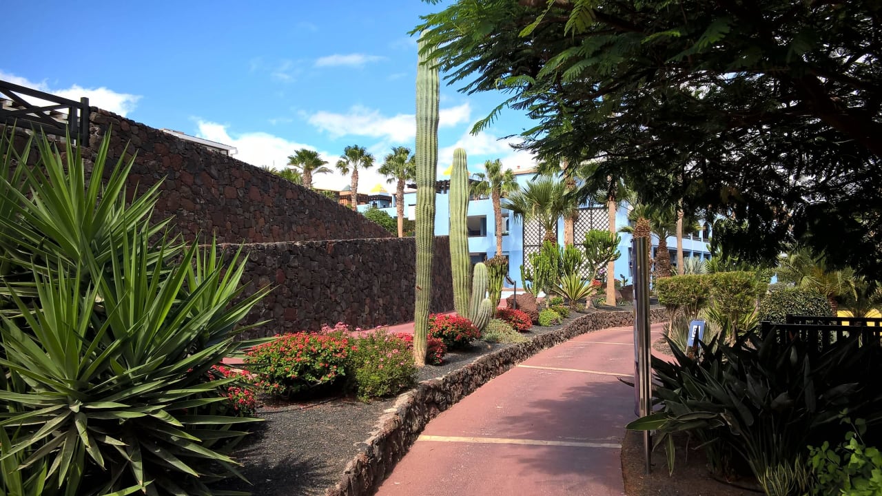 Weg durch die Anlage Occidental Jandía Royal Level - Adults only