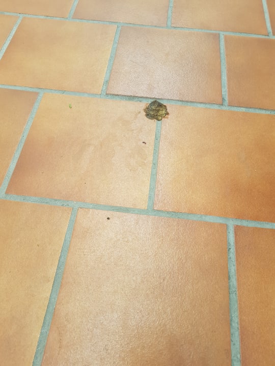 Sonstiges Bungalows Vistaflor