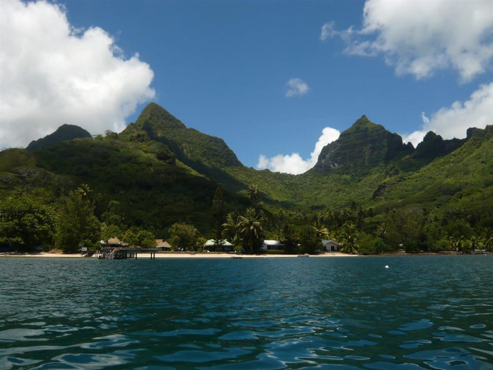 Blick vom Kajak Linareva Moorea Beach Resort