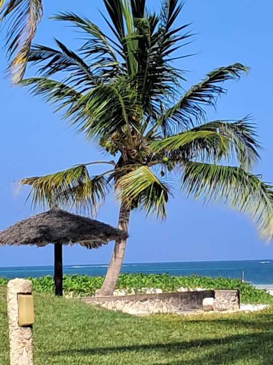 Gartenanlage Neptune Paradise Beach Resort & Spa