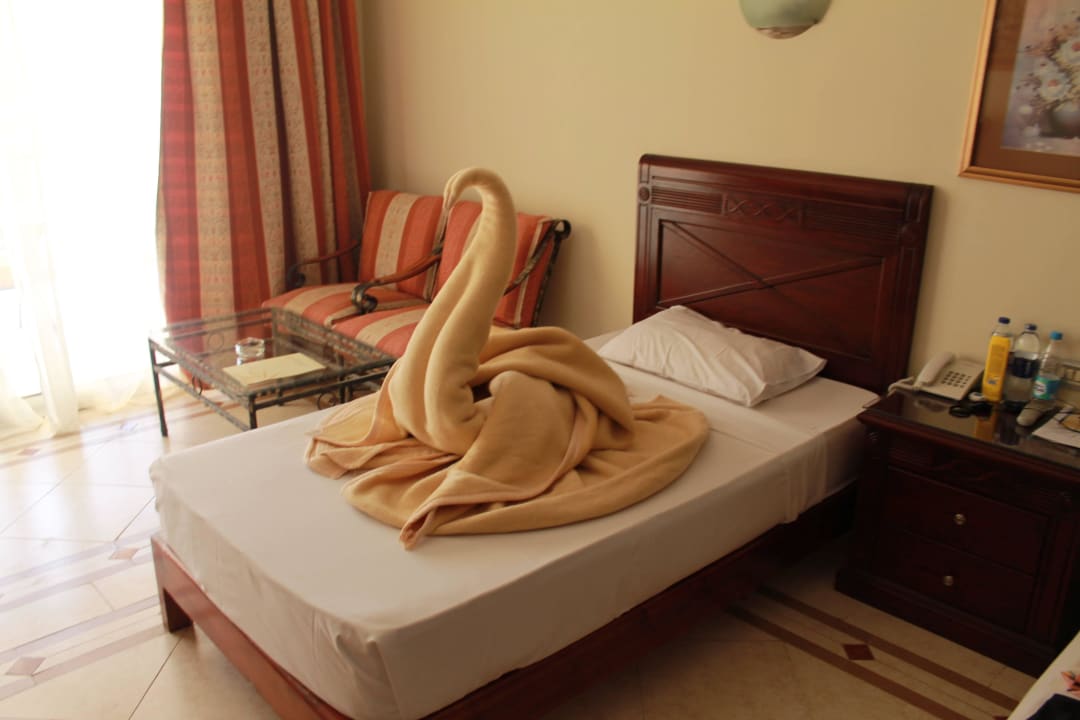 Лебедь Imperial Shams Abu Soma