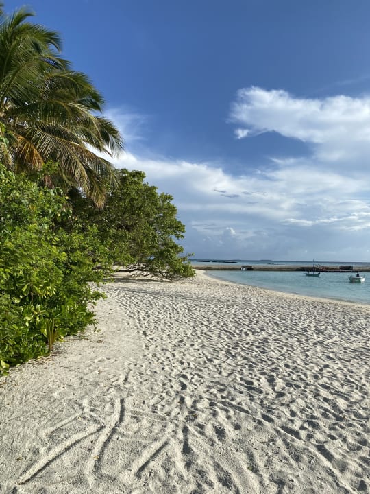 Strand Summer Island Maldives