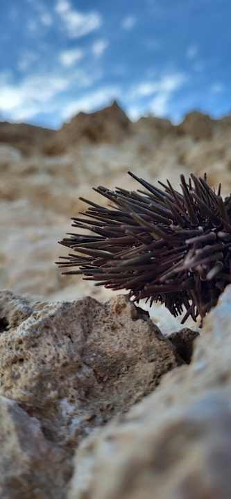 Sonstiges Coral Hills Resorts & SPA