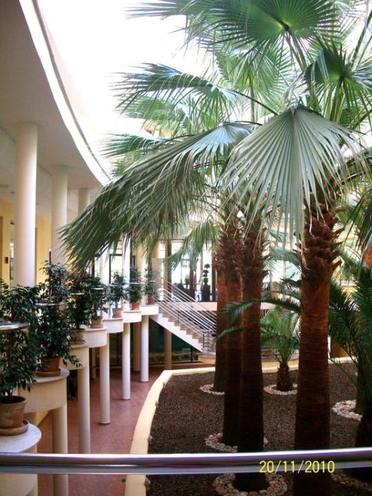 Offen gestalteter Innenbereich allsun App.-Hotel Orient Beach