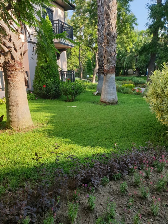 Gartenanlage Starlight Resort Hotel