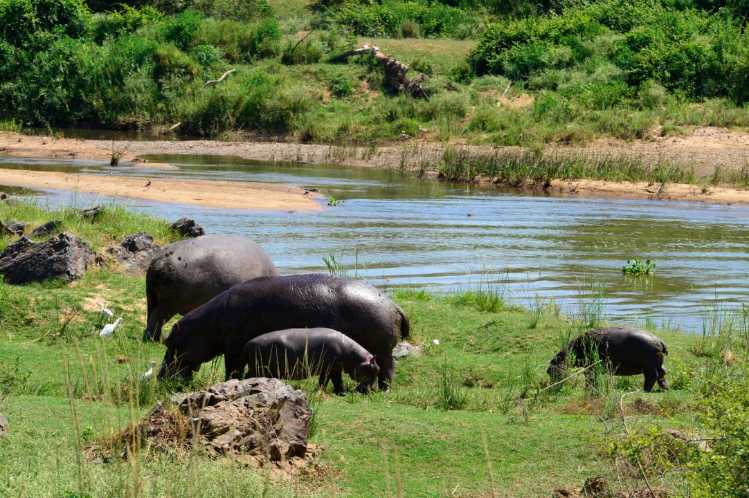 Sonstiges Pestana Kruger Lodge