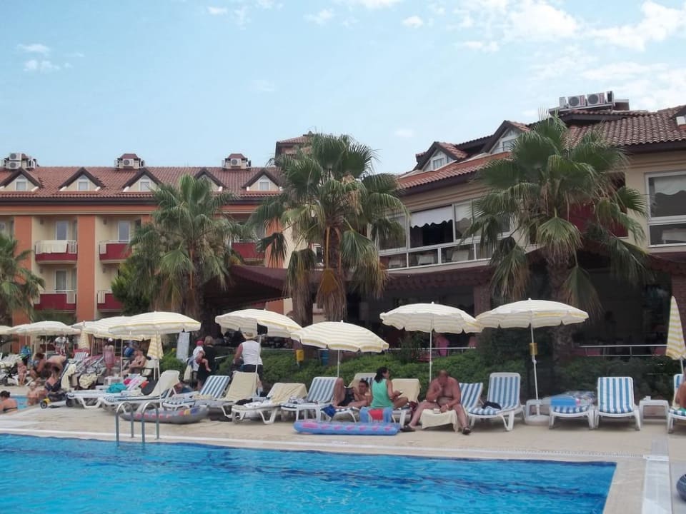 Pool und Liegen Hotel Orfeus Park