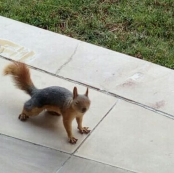 Sonstiges Kustur Club Holiday Village