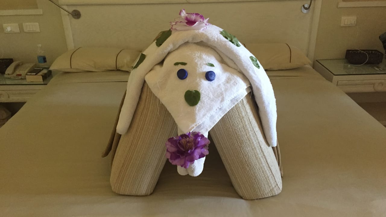 Zimmer Makadi Spa - Adults only