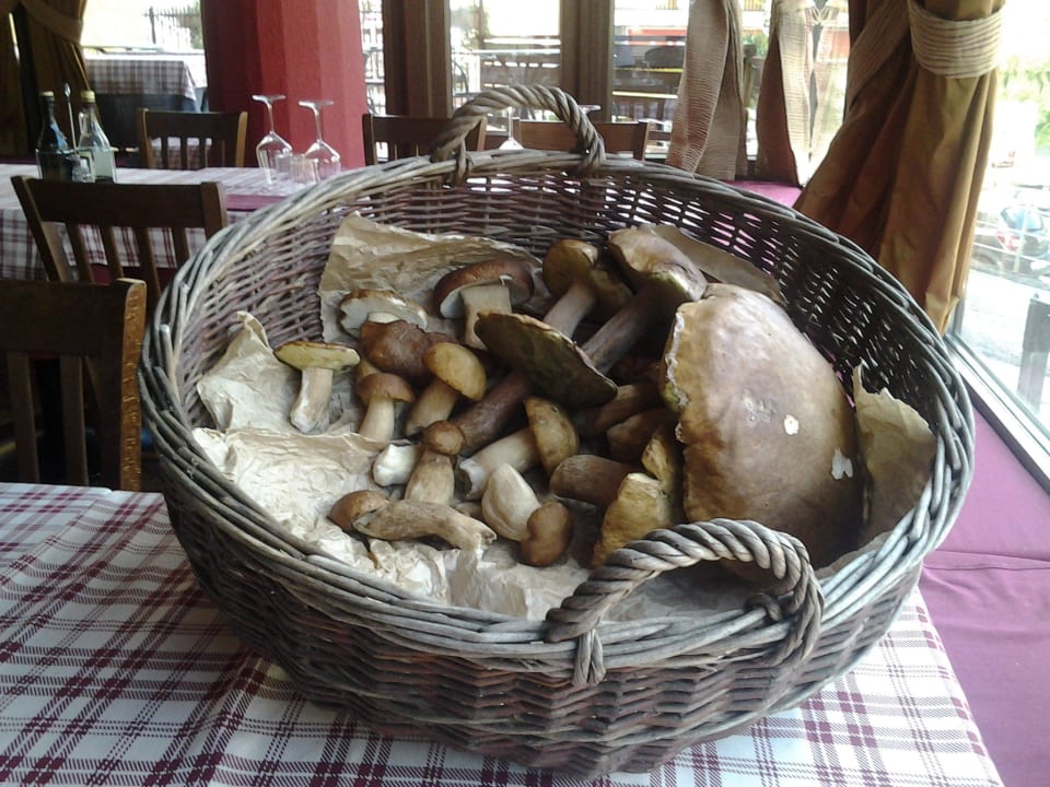Il nostro raccolto di funghi Hotel Locanda Seggiovia