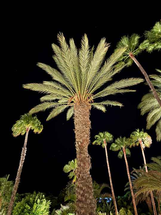 Gartenanlage Paradisus by Meliá Gran Canaria