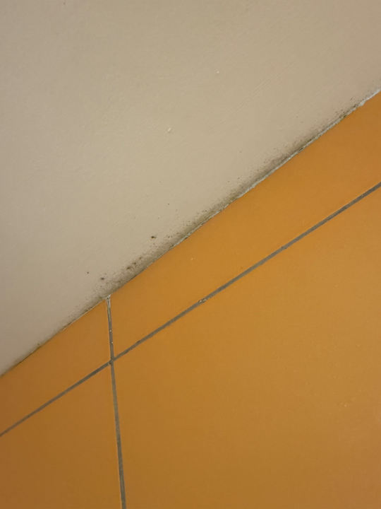 Zimmer Bull Eugenia Victoria & Spa