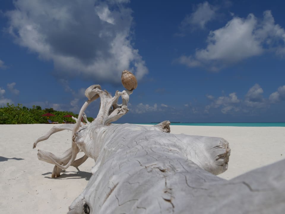Strand Hondaafushi Island Resort