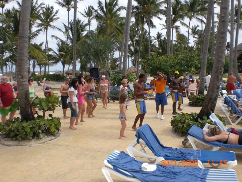 Animationstanz Royalton Splash Punta Cana