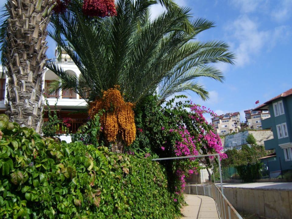Weg zum Strand My Home Resort