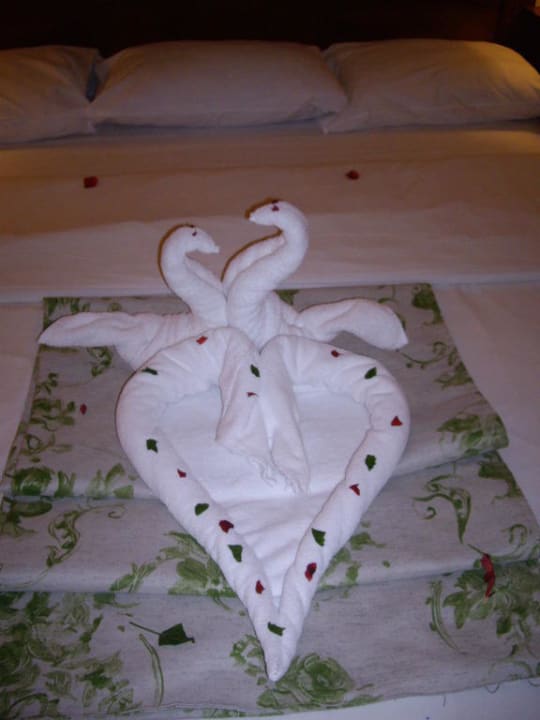 Schöne Motive Ghazala Gardens