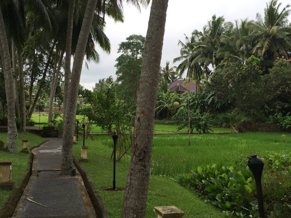 Gartenanlage  The Ubud Village Resort & Spa