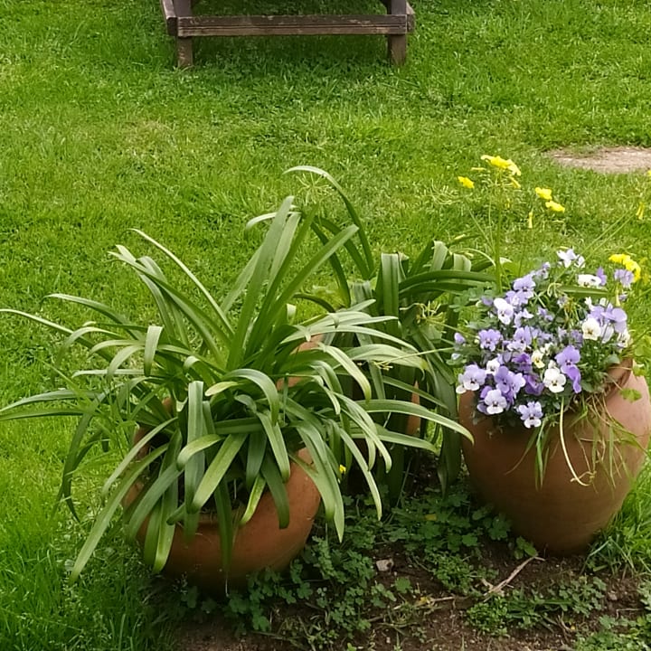 Gartenanlage Casa Videira