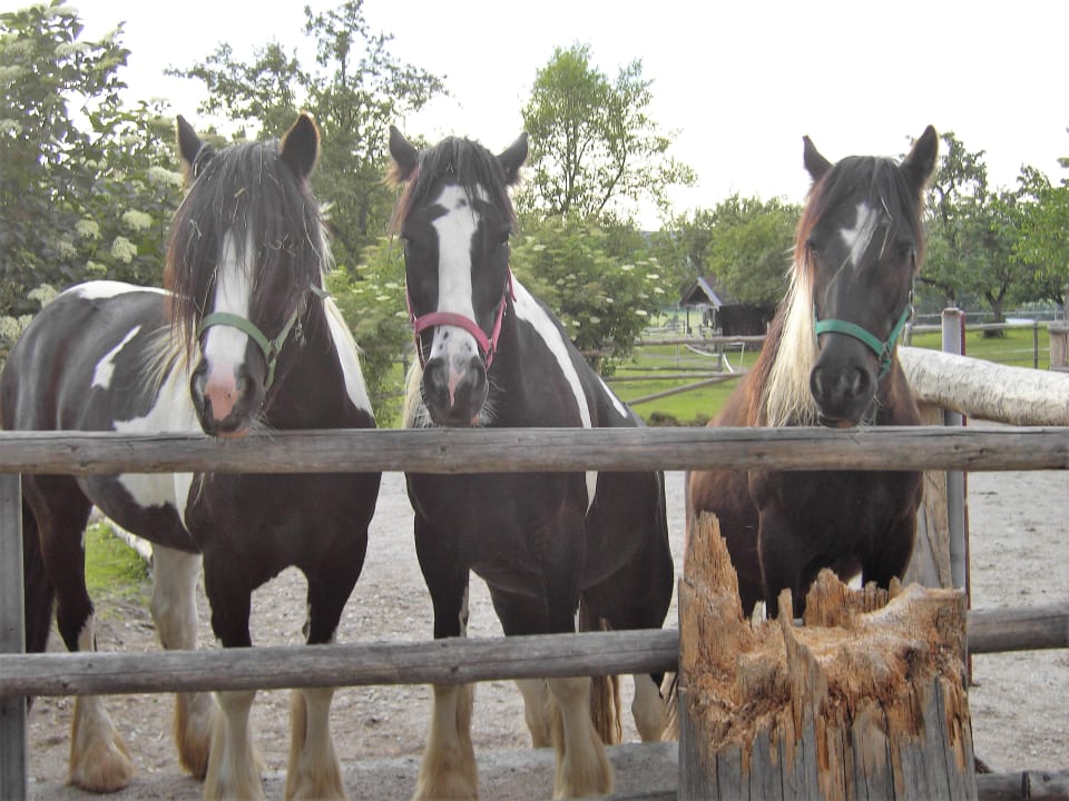 Ausblick Ferienwohnung Held
