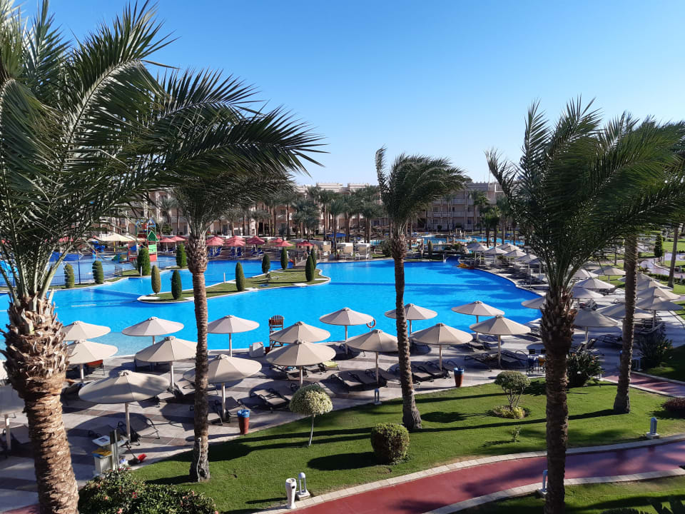 Pool Pickalbatros Palace Resort
