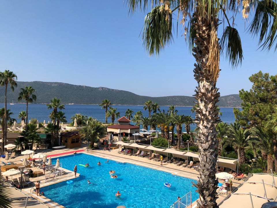Ausblick TUI MAGIC LIFE Bodrum - Adult Only (16+)
